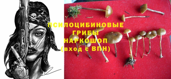 марки lsd Вяземский