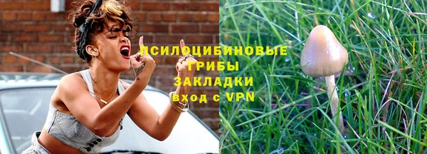 марки lsd Вяземский