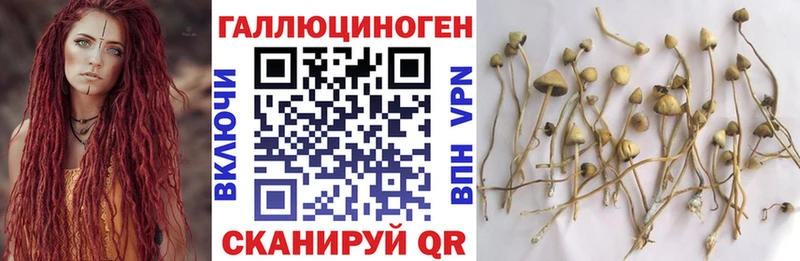 Галлюциногенные грибы мицелий  закладка  Геленджик 