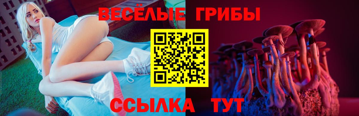 Псилоцибиновые грибы Psilocybe  Вход с VPN  Геленджик 
